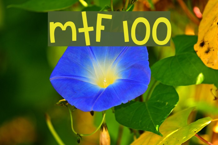 MTF 100 Font examples