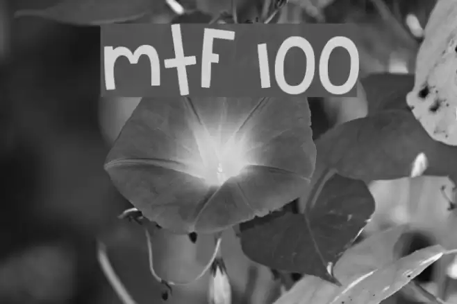 MTF 100 字体 examples