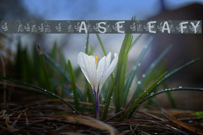MTF Base Leafy Font examples