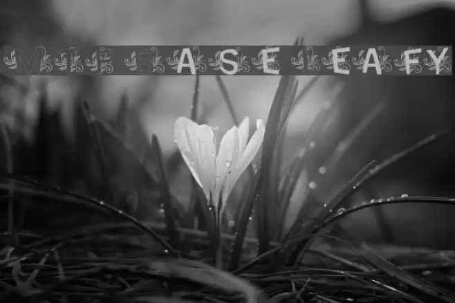 MTF Base Leafy Schriftart examples