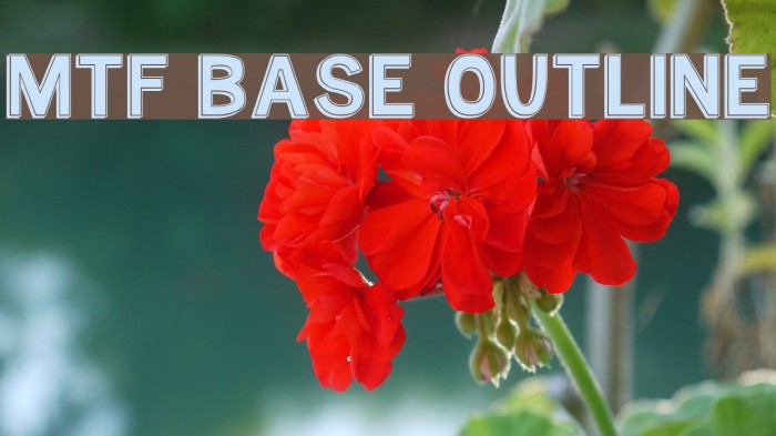 MTF Base Outline 字体 examples