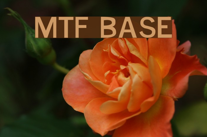 MTF Base 字体 examples