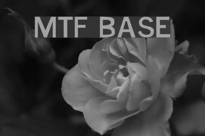MTF Base Font examples