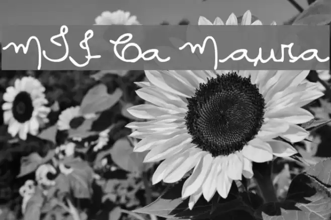 MTF Ca Maura Font examples