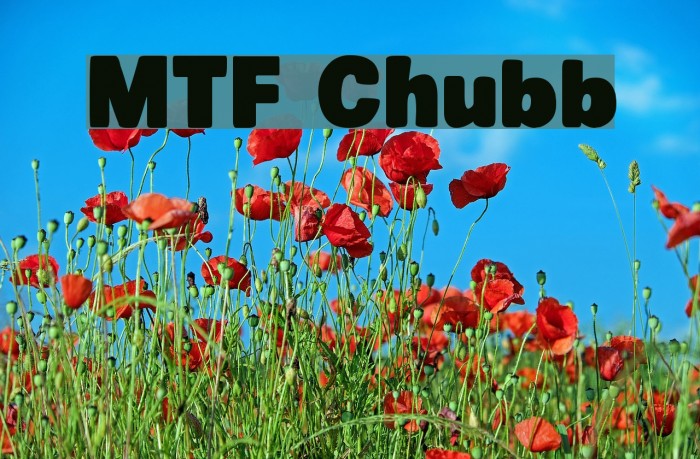 MTF Chubb Font examples
