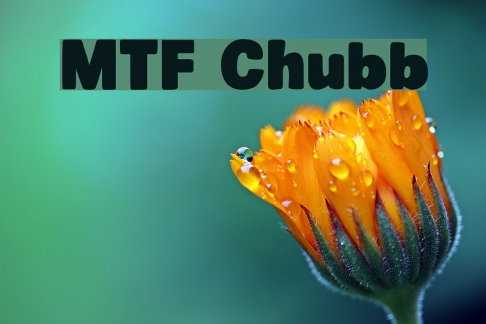 MTF Chubb Font examples