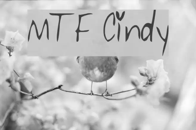 MTF Cindy Font examples