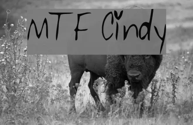 MTF Cindy Font examples