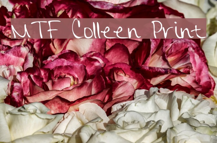 MTF Colleen Print Example 3