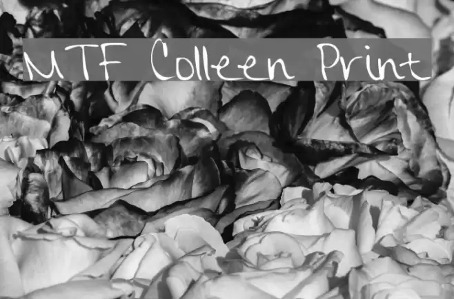 MTF Colleen Print Font examples