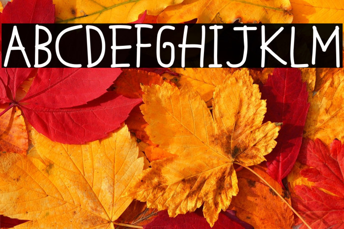 MTF Cool Kid Fat Example 2