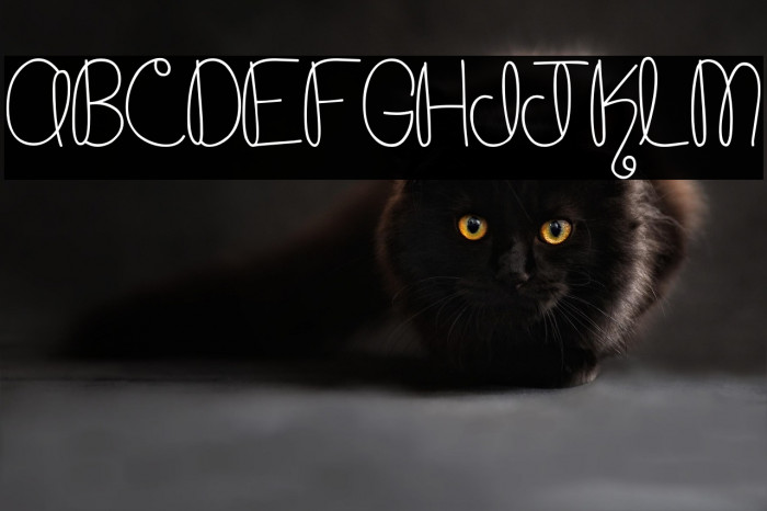 MTF Cupcake Example 3