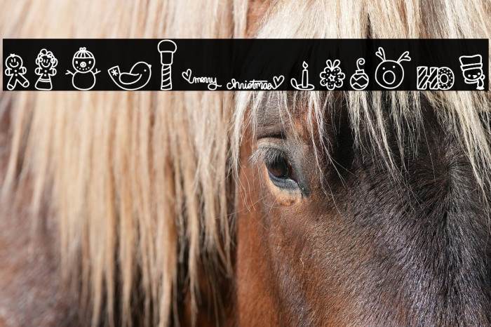 MTF Dear Santa Example 2