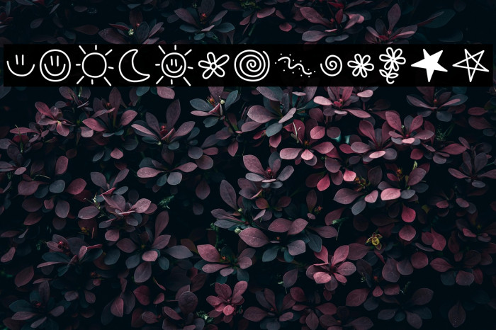 MTF Doodle PRO Example 1