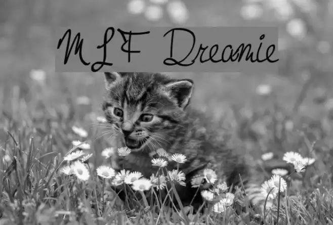MTF Dreamie Font examples