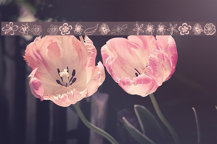 MTF Flower Doodles Font examples