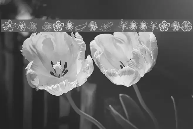 MTF Flower Doodles Font examples