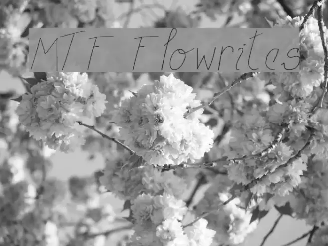 MTF Flowrites Font examples