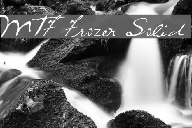 MTF Frozen Solid Example 1
