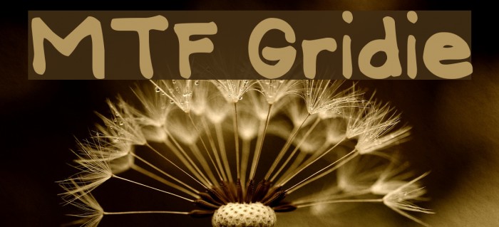 MTF Gridie Font examples