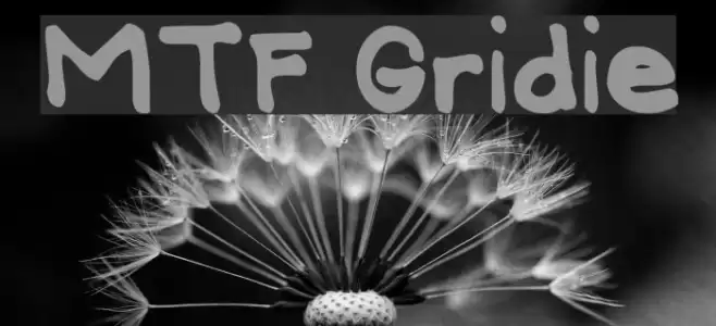 MTF Gridie Polices examples