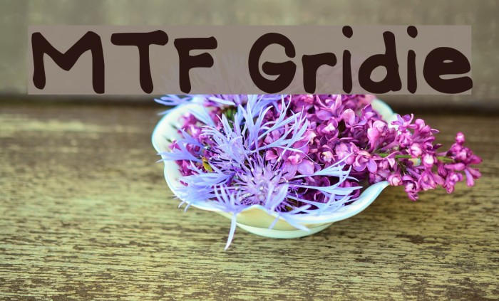 MTF Gridie Font examples
