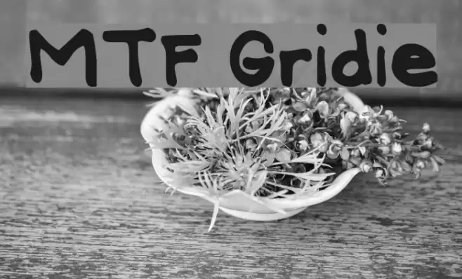 MTF Gridie Polices examples