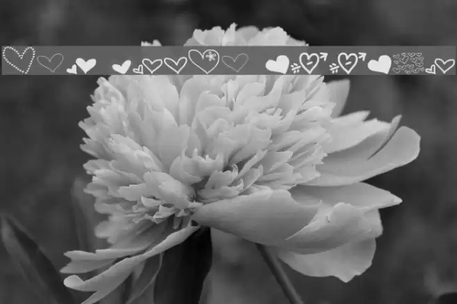 MTF Heart Doodle Font examples