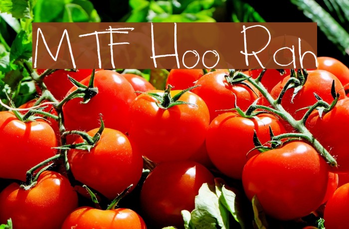 MTF Hoo Rah フォント examples
