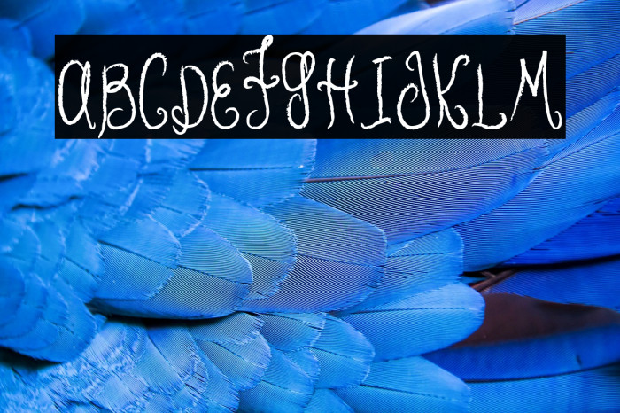 MTF Hunnie Example 2