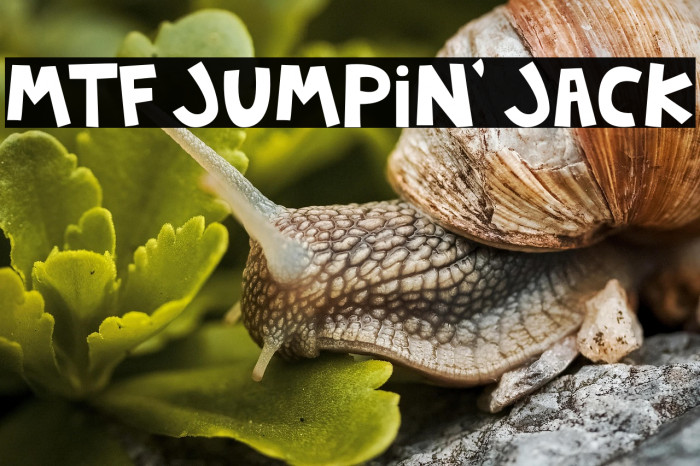 MTF Jumpin' Jack Example 3