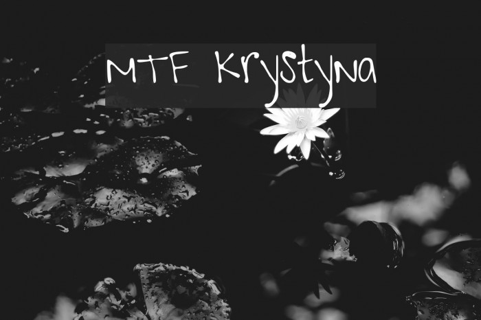 MTF Krystyna Font examples