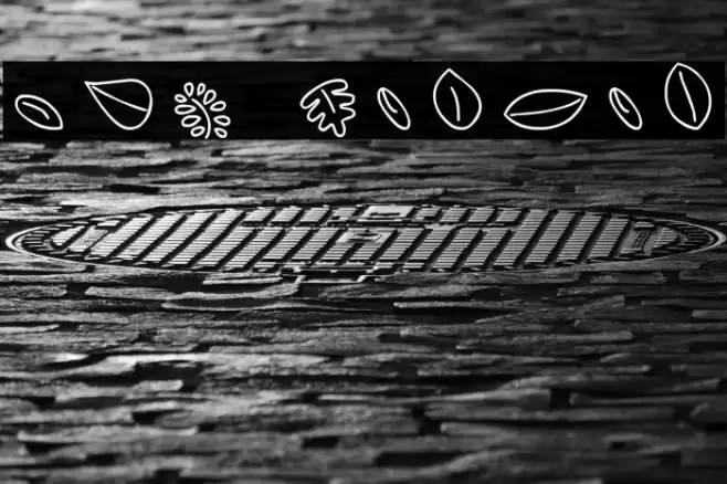 MTF Leaves Fonte examples