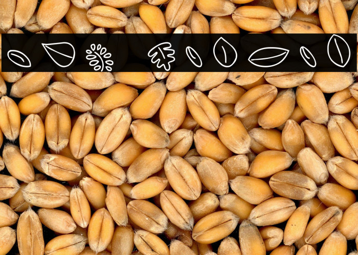 MTF Leaves Font examples