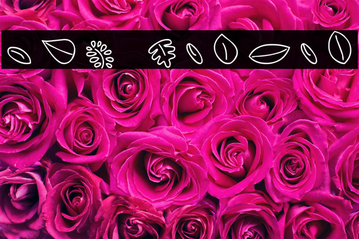 MTF Leaves Font examples