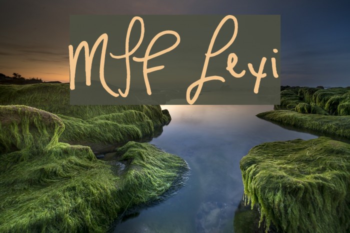 MTF Lexi Font examples