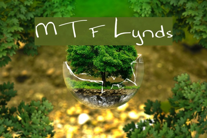 MTF Lynds Font examples