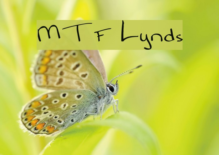 MTF Lynds Font examples