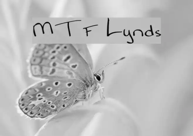 MTF Lynds Example 2