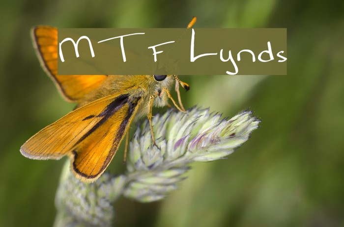 MTF Lynds Font examples