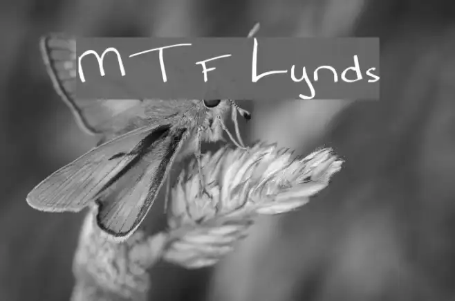 MTF Lynds Example 3