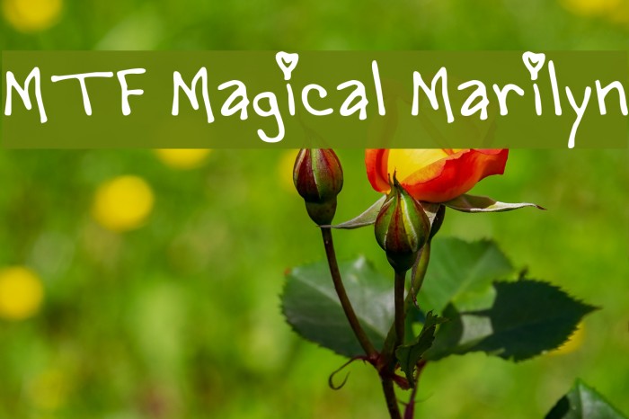 MTF Magical Marilyn Example 1