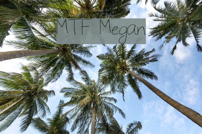 MTF Megan Font examples