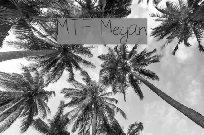 MTF Megan Example 2