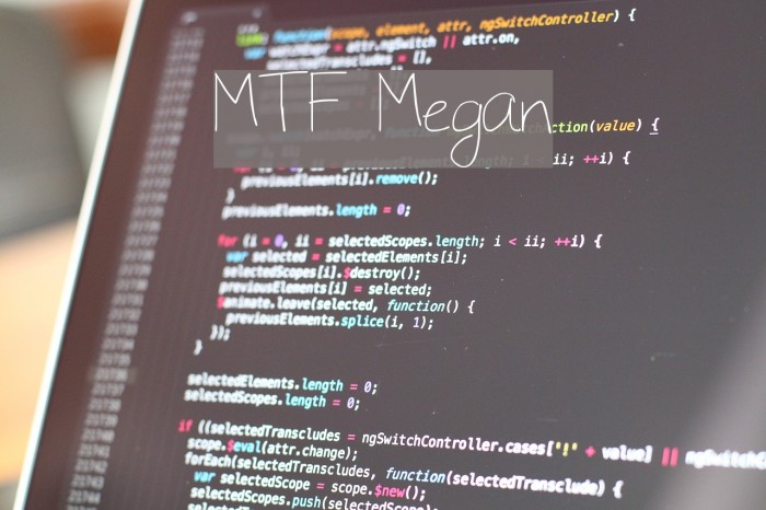 MTF Megan Font examples
