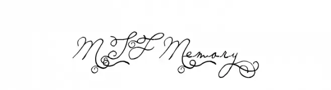 MTF Memory  font caratteri gratis