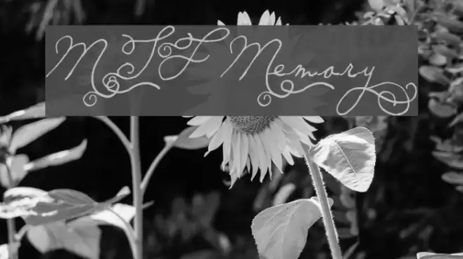 MTF Memory Font examples