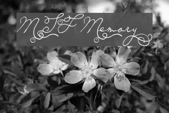 MTF Memory Font examples