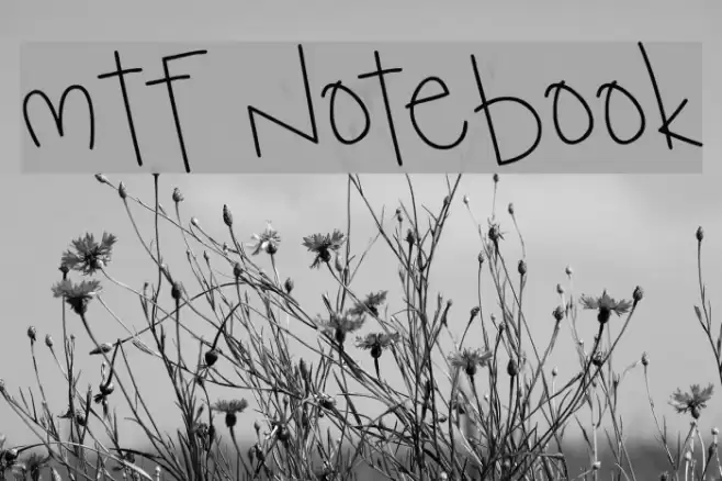 MTF Notebook Font examples