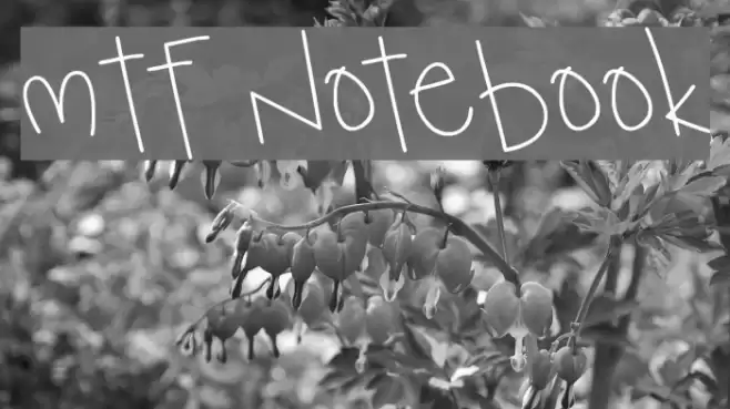 MTF Notebook Font examples